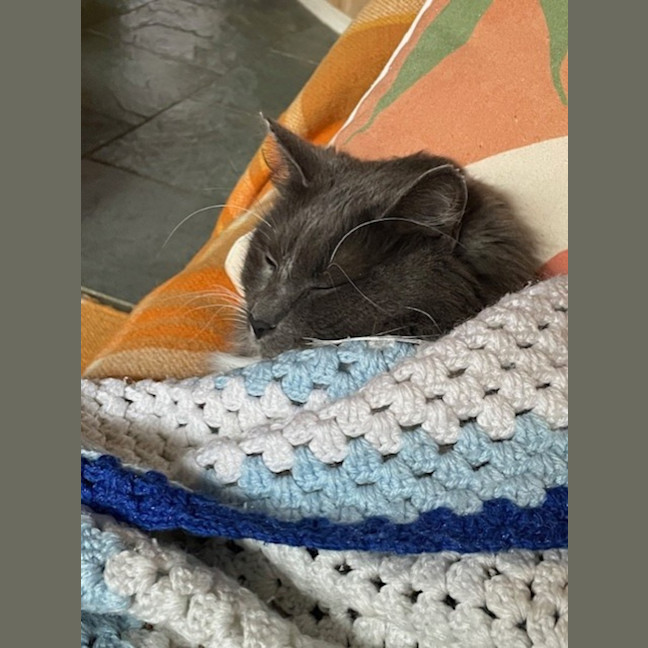 Photo of Lucky Socks