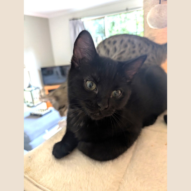 Photo of Tiny