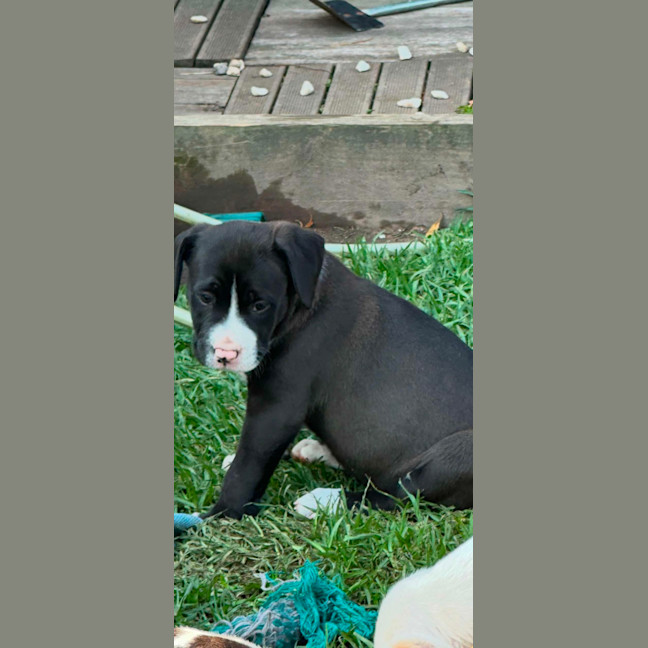 Photo of Jewel