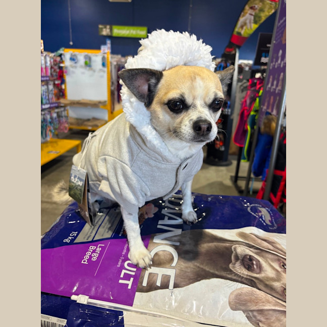 Photo of Bonded Pair 