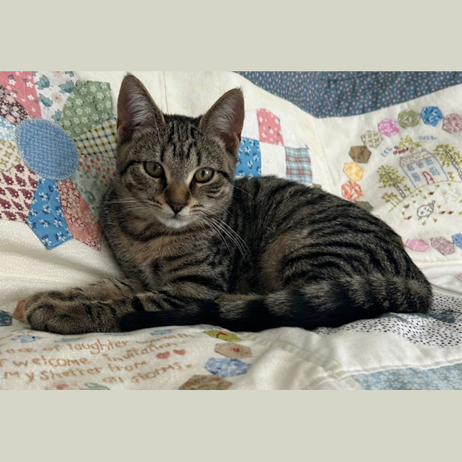 Photo of Tina
