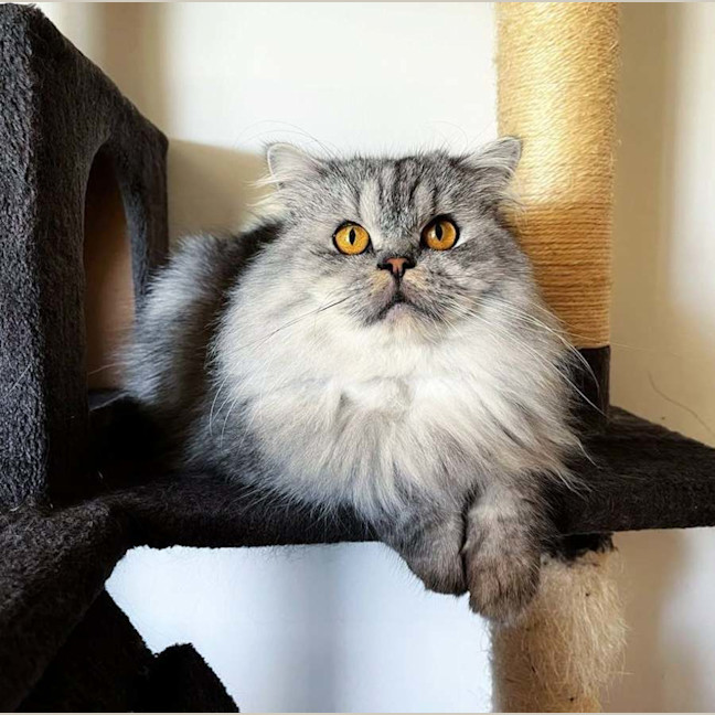 Photo of 🤍Emmett🤍