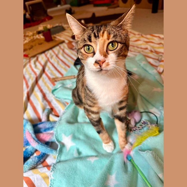 Photo of Moe   Located In Brunswick West