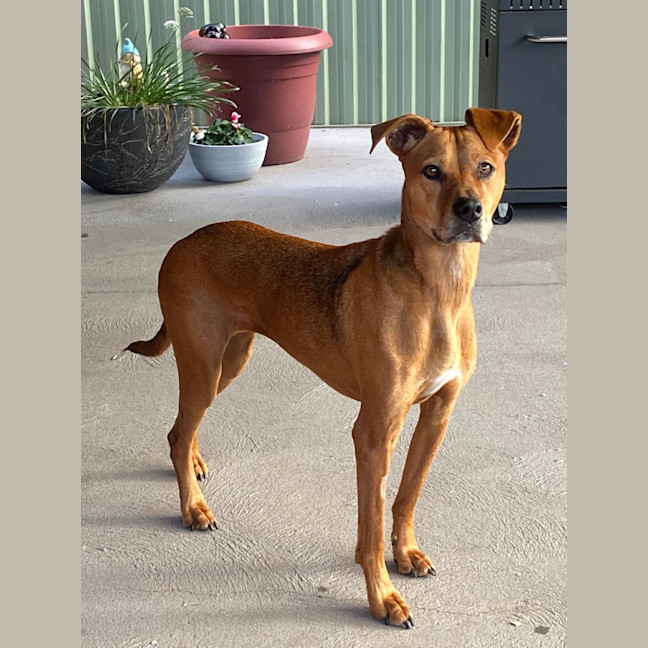 Photo of Zoe