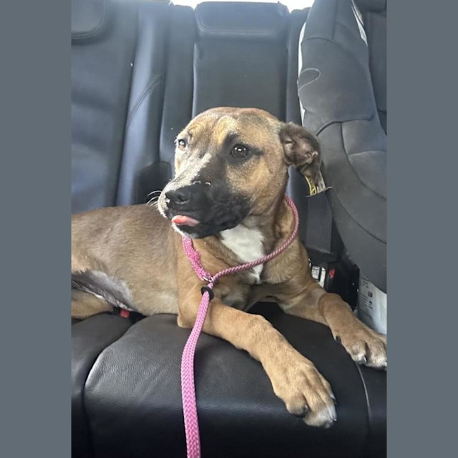 Photo of Miss. Honey