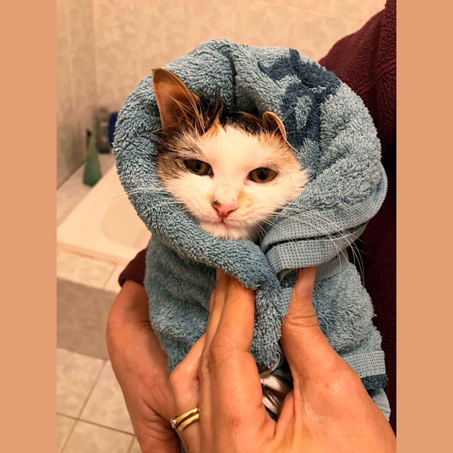 Photo of Winnie