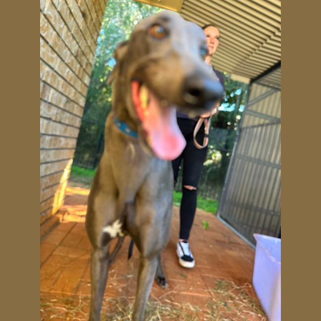 Photo of Frankie