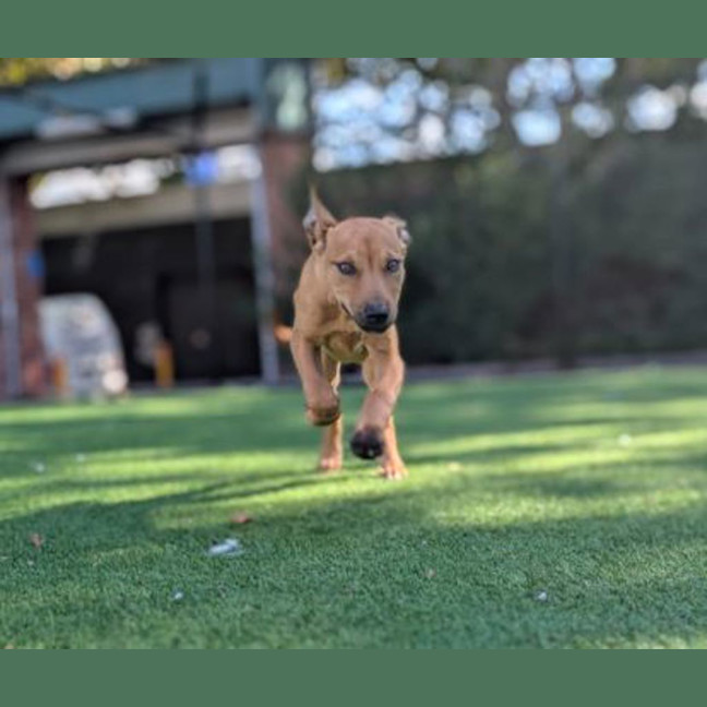 Photo of Winnie