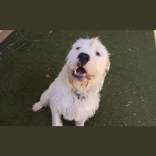 Photo of Yeti