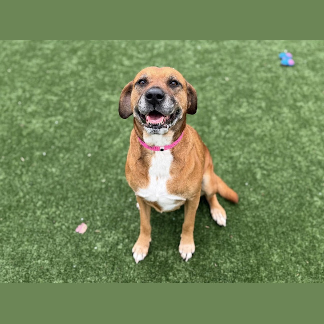 Photo of Missy Imp 1745