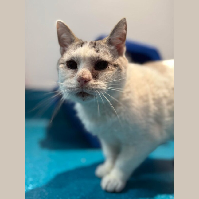 Photo of Elsa