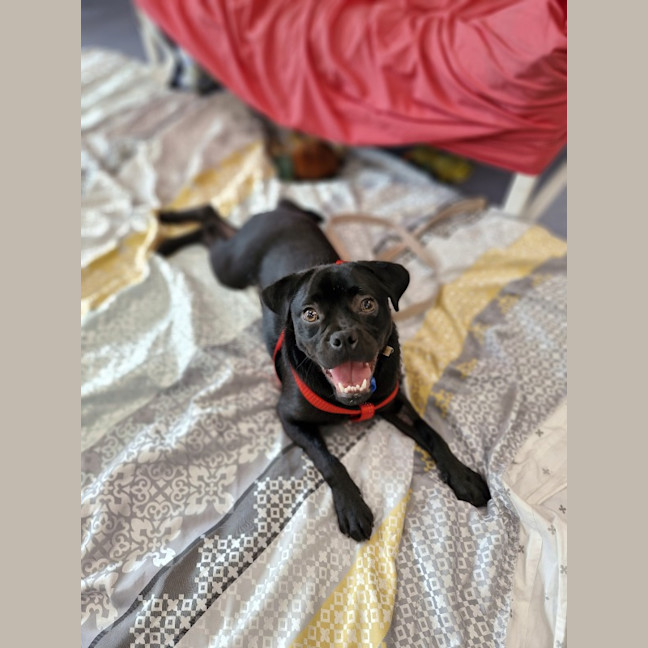 Photo of Mickey