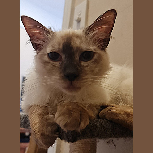 Photo of Sid And Nancy