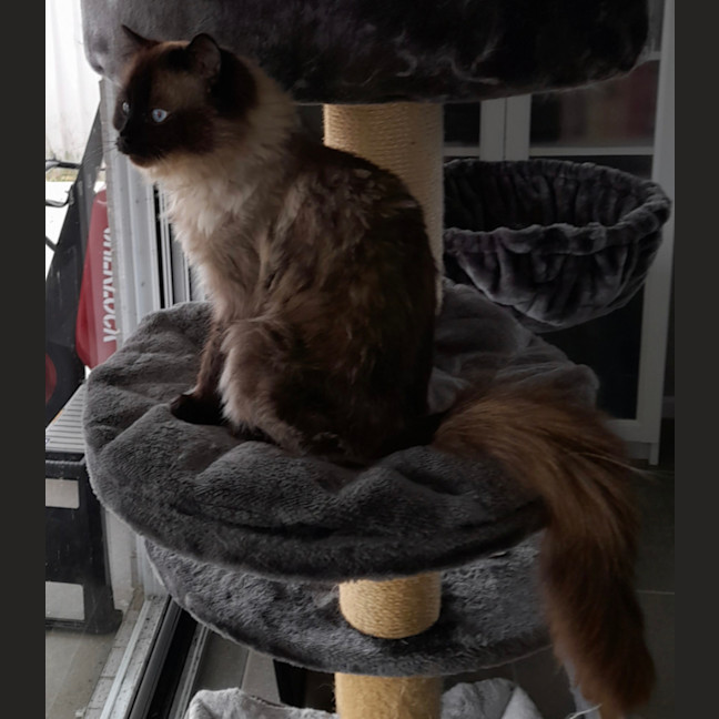 Photo of Charlie