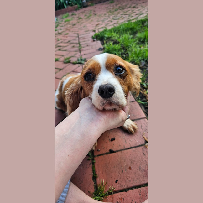 Photo of Lexi