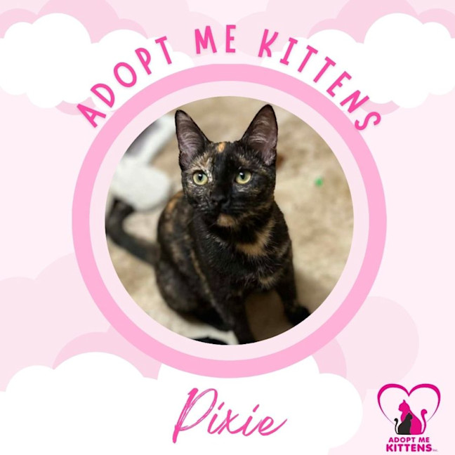 Photo of Pixie 