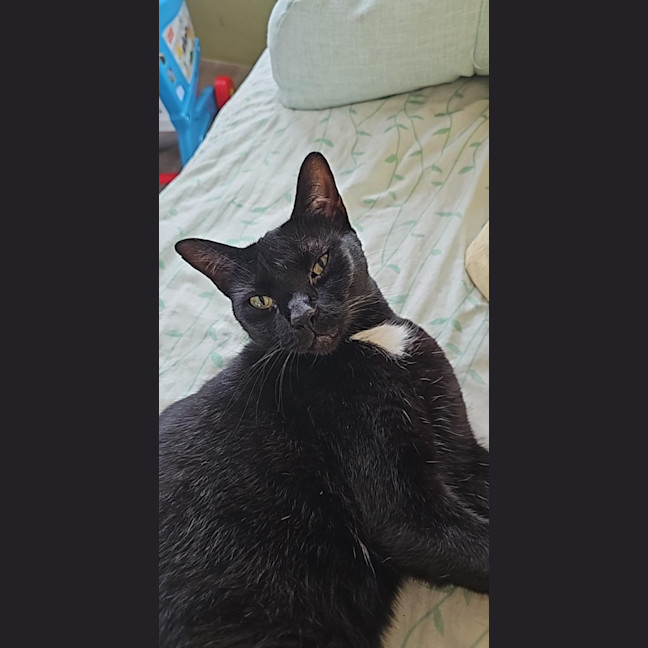 Photo of Morgana