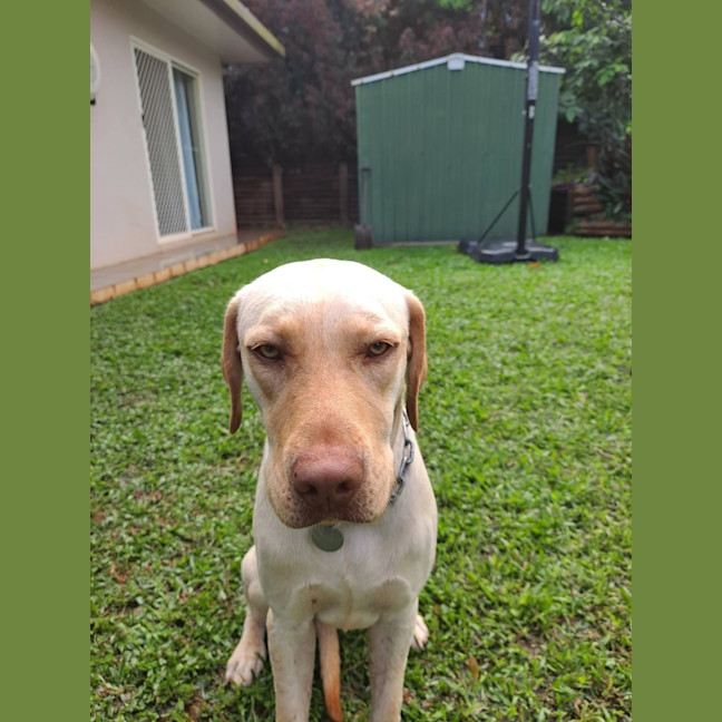 Photo of Bingo