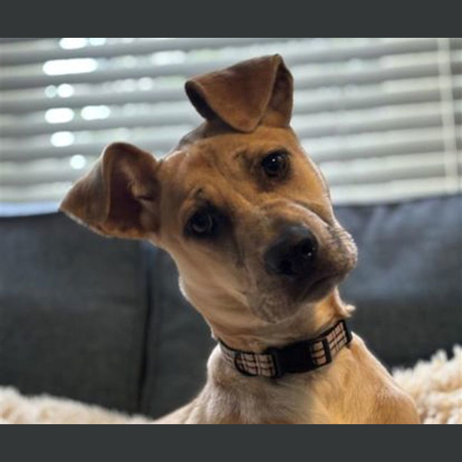 Photo of Freya