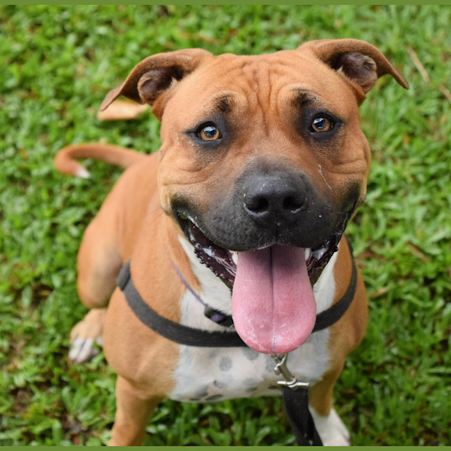 Photo of Lila