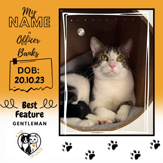 Photo of Officer Banks   Claw Enforcement