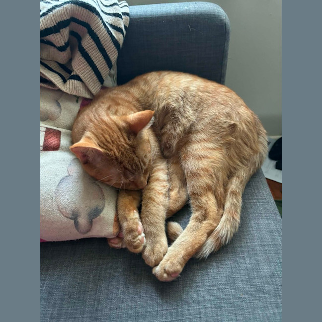Photo of Leo