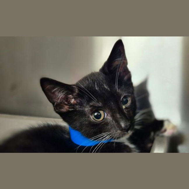 Photo of Alaric