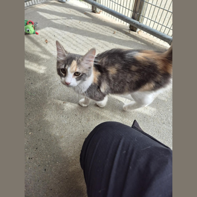 Photo of Ella! ❤️