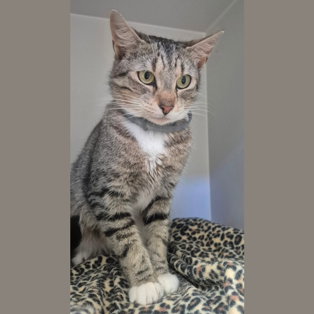 Photo of Arwen (9076)