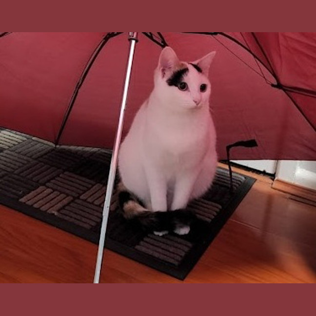 Photo of April