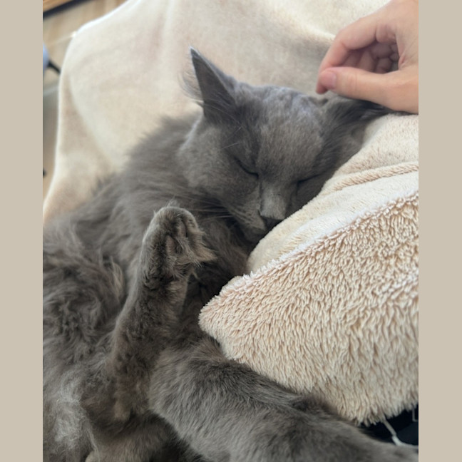 Photo of 💙 Harry 💙