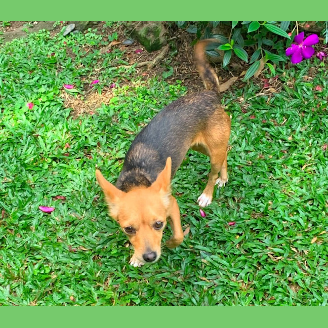 Photo of Tiny