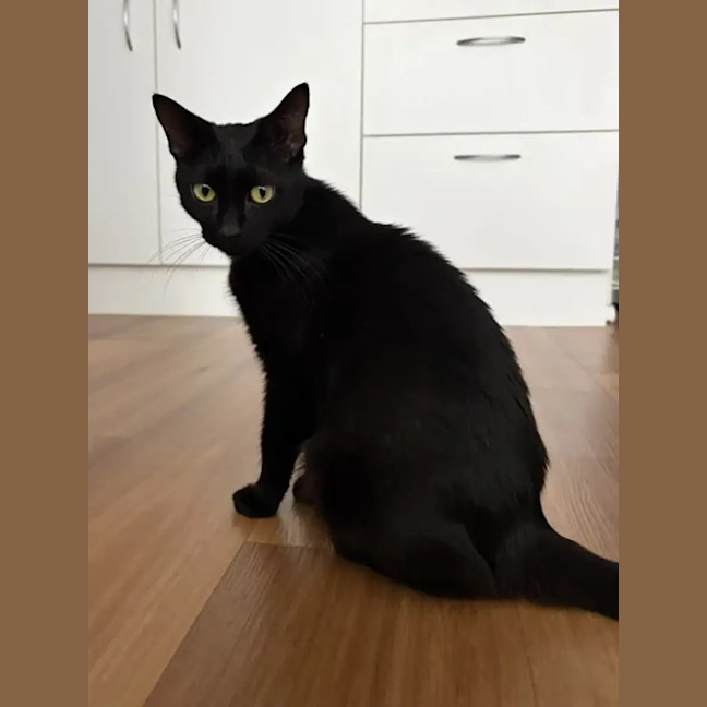 Photo of Ruby