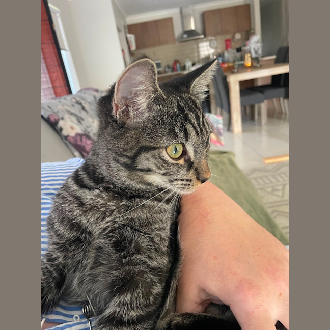 Photo of Cooper Aka Eddie