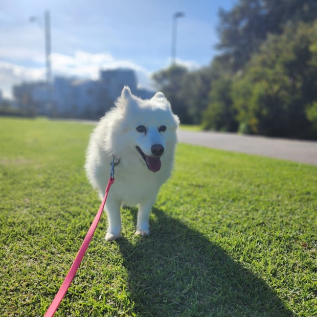 Photo of Silas 