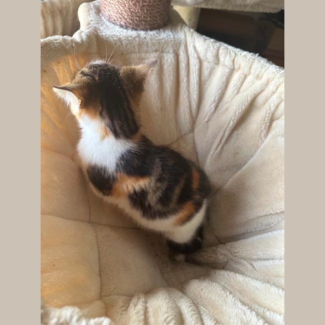 Photo of Little Leah