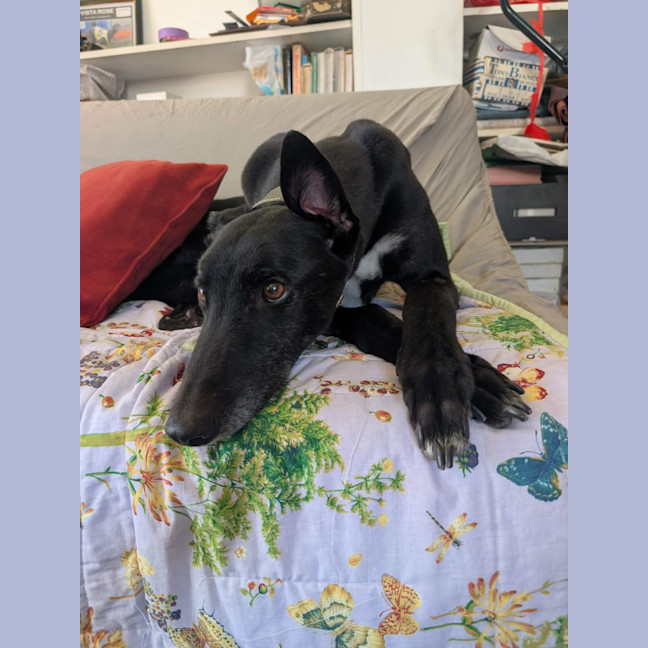 Photo of Arthur