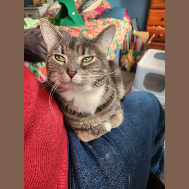 Photo of Quilly Willy