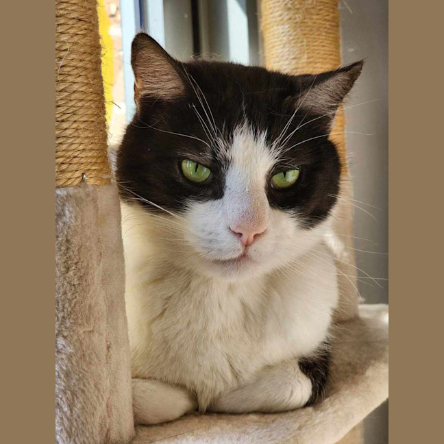 Photo of 🐦 Carlo 5437 🐦