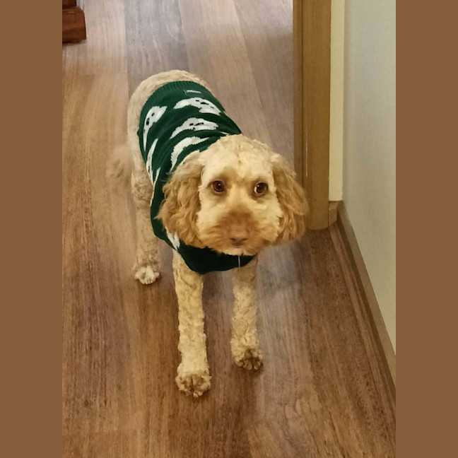 Photo of Eddie