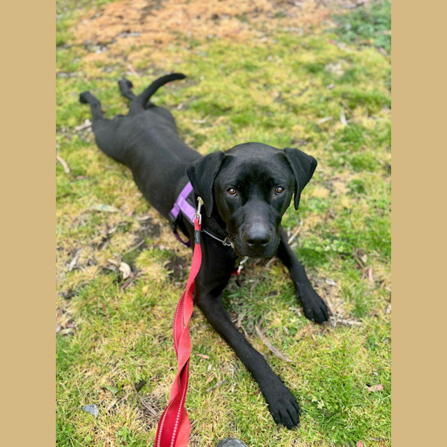 Photo of Bobbi