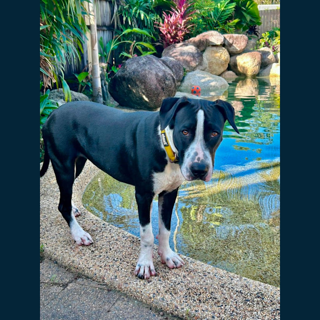Photo of Bronte