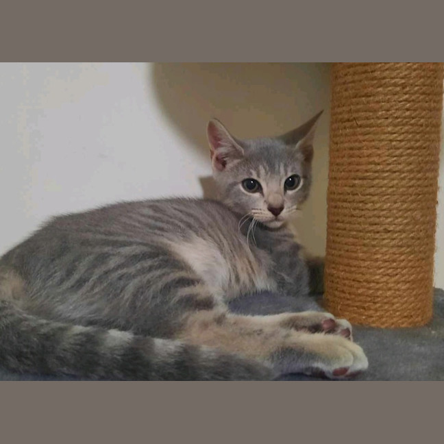 Photo of Eidie (K46)