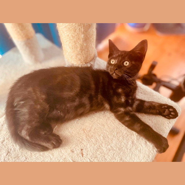 Photo of Rumor & Cider