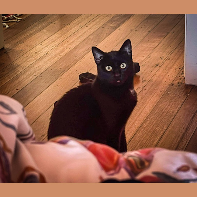 Photo of Chloe
