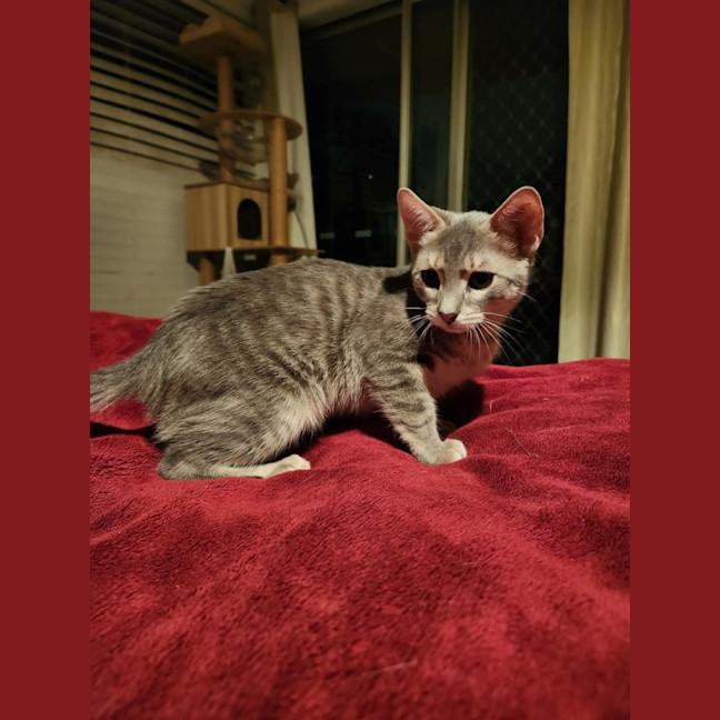 Photo of Ridoc