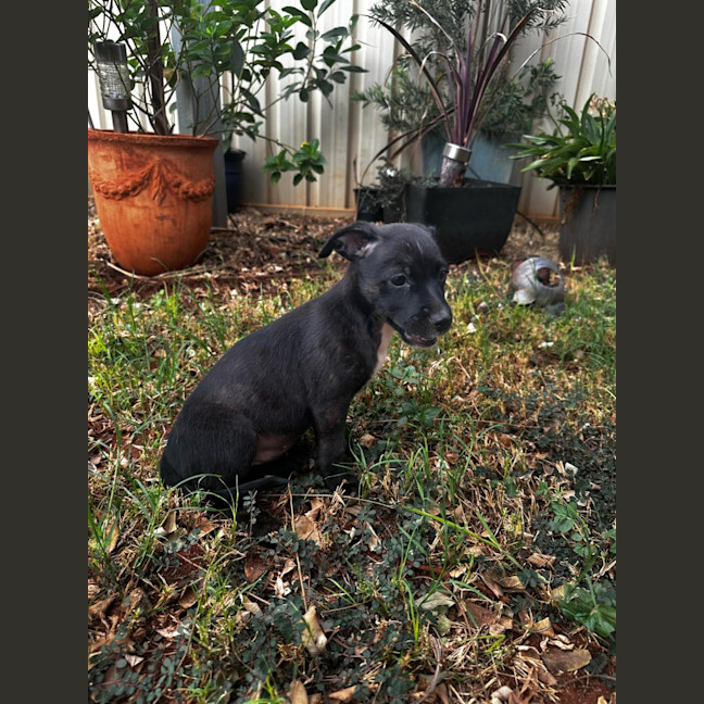Photo of Zoe