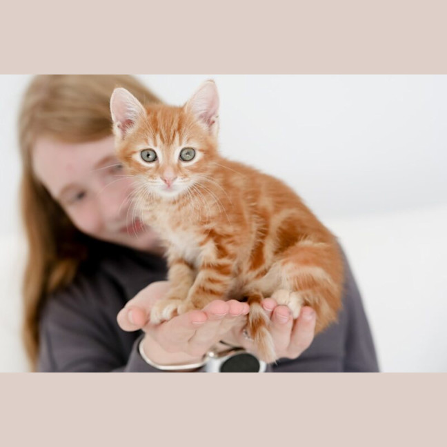 Photo of Milton