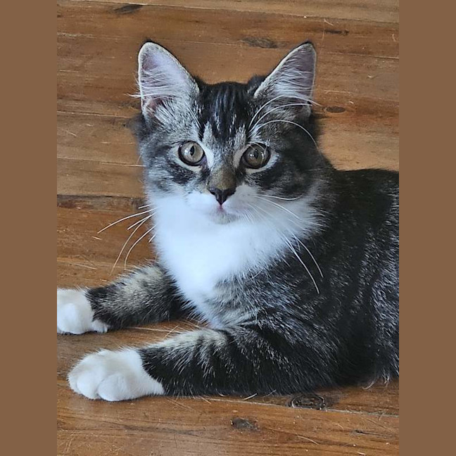 Photo of Winston