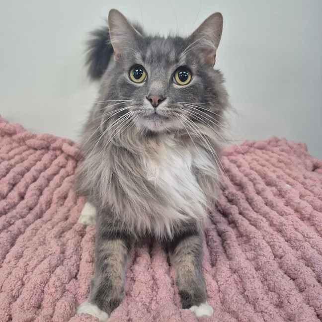 Photo of Ragnar